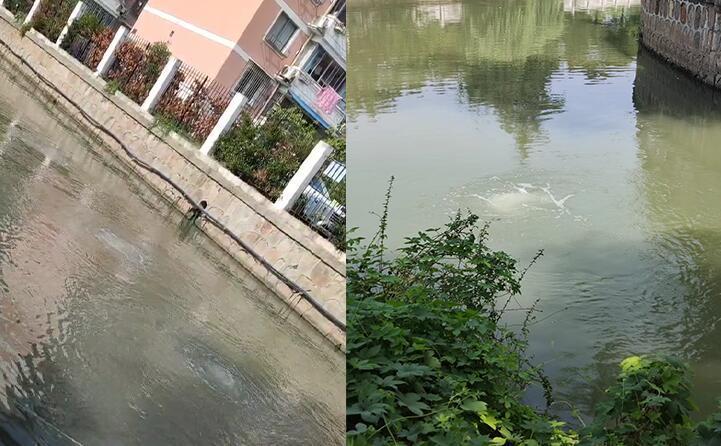 探秘羅茨鼓風機:如何正確安裝三葉羅茨鼓風機來提高魚塘水質? 探秘羅茨鼓風機:如何正確安裝三葉羅茨鼓風機來提高魚塘水質?